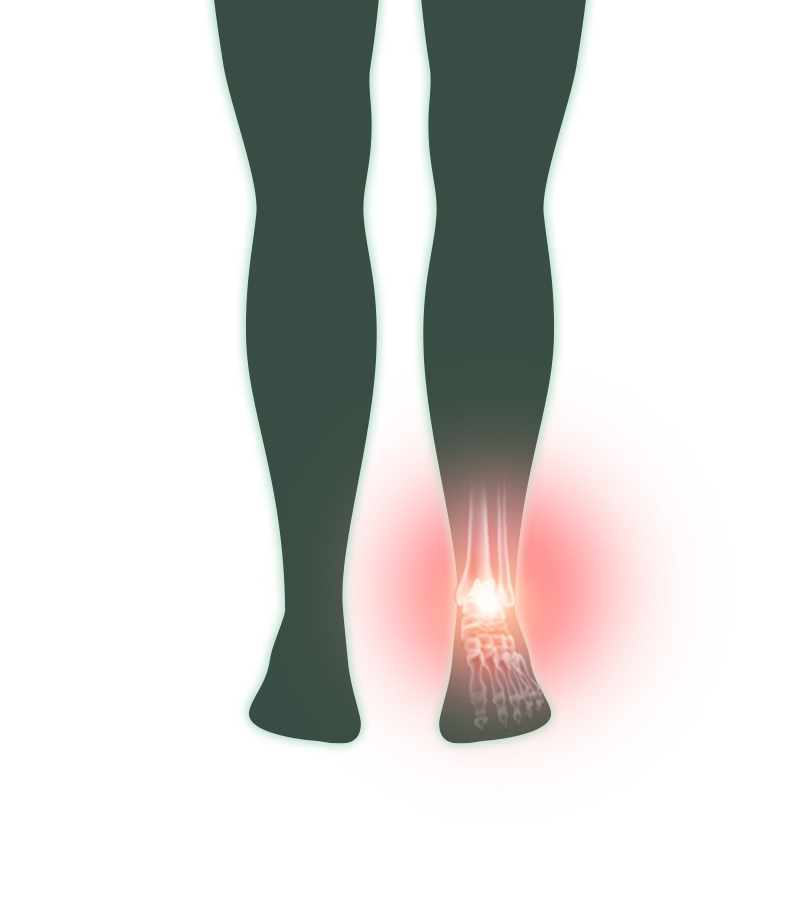 이미지명