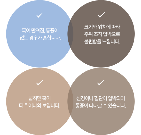 이미지명
