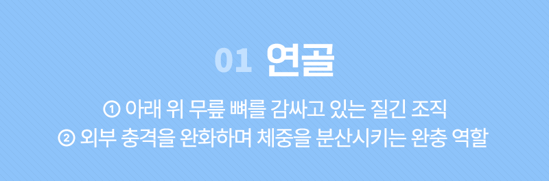 이미지명