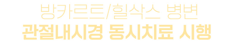 이미지명