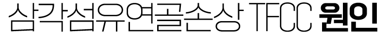 이미지명