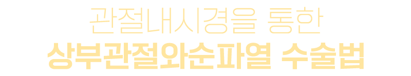 이미지명