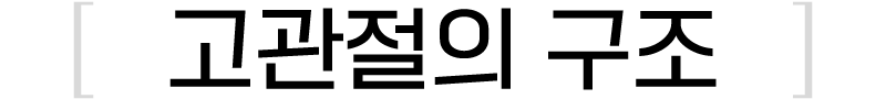 이미지명