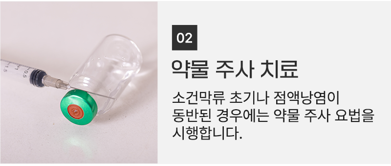 이미지명