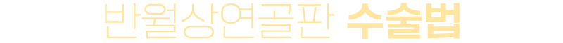 이미지명