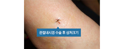 이미지명