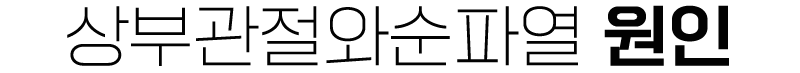 이미지명