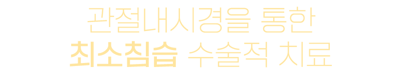 이미지명