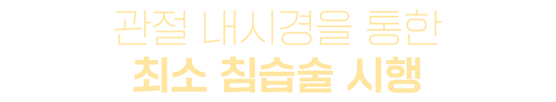 이미지명
