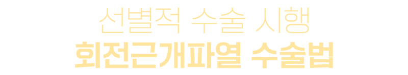 이미지명