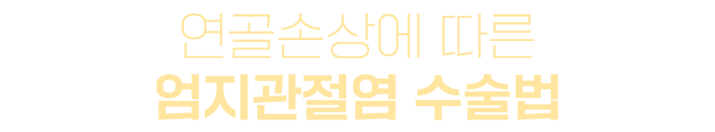 이미지명