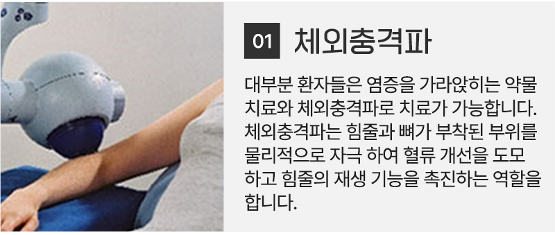 이미지명