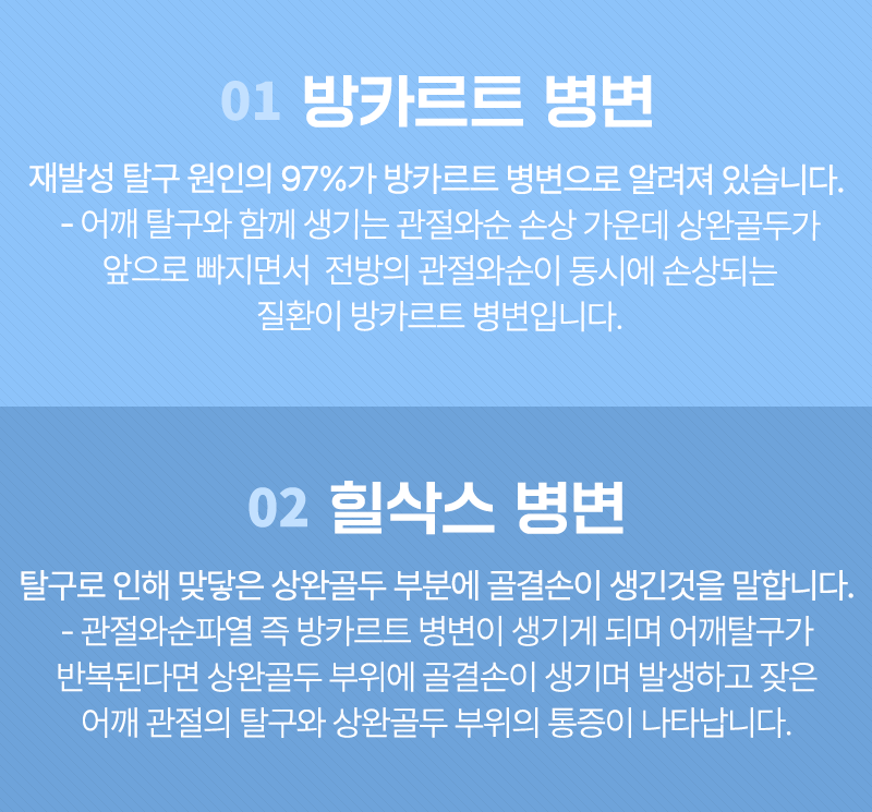 이미지명
