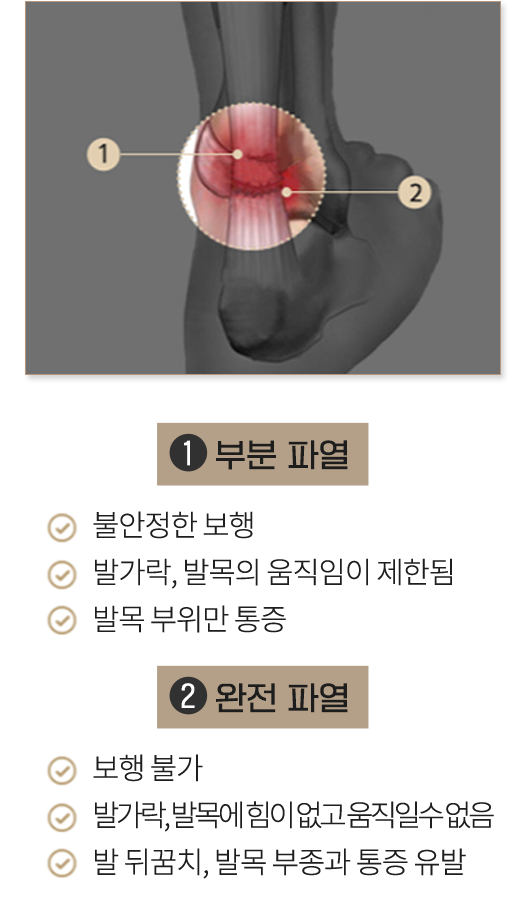 이미지명