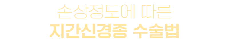 이미지명