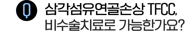 이미지명