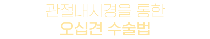 이미지명