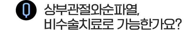 이미지명