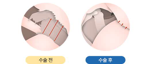 이미지명