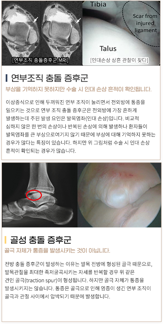 이미지명
