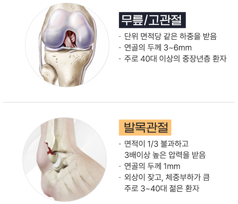 이미지명