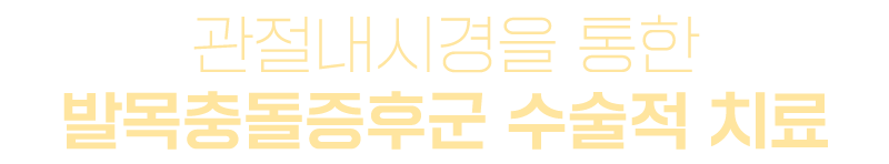 이미지명
