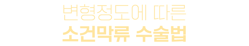 이미지명
