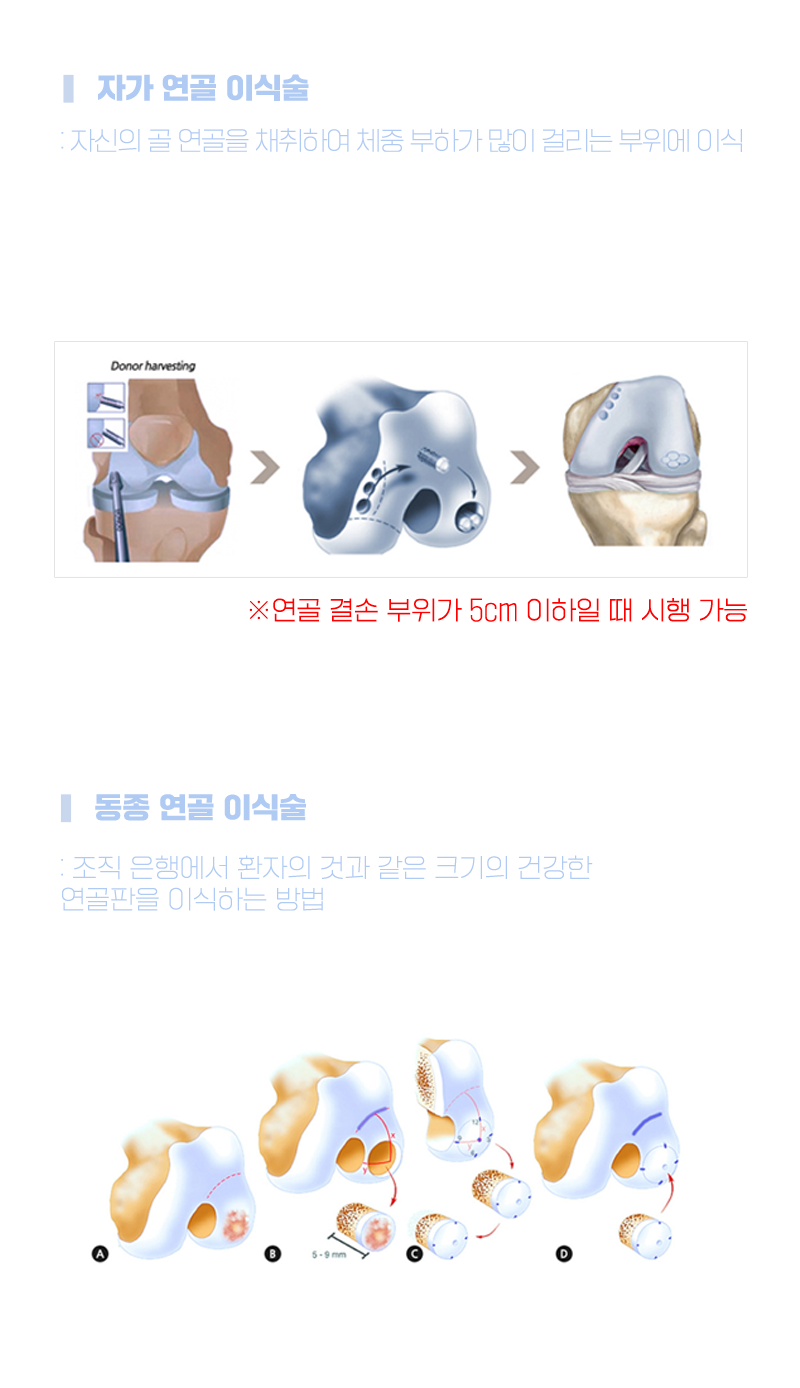 이미지명