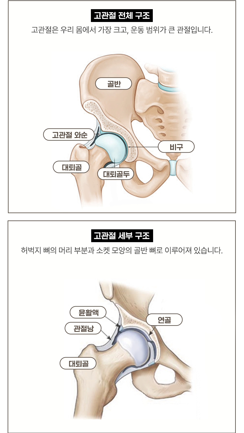 이미지명