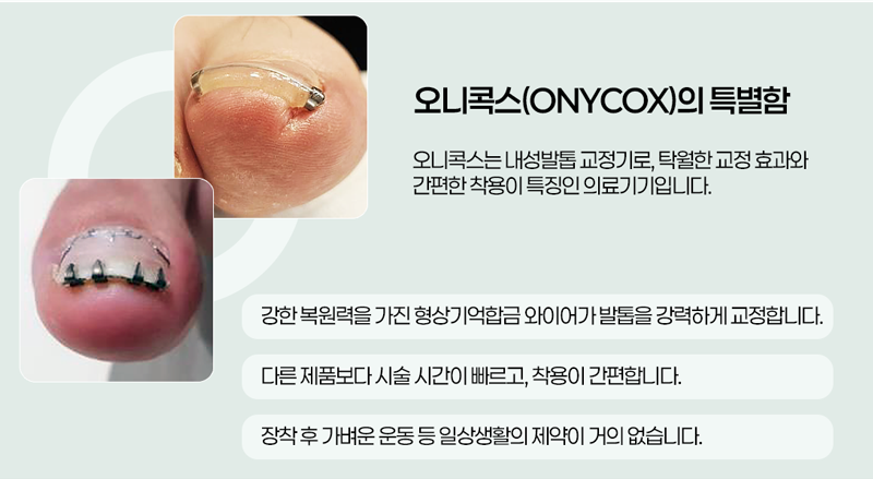 이미지명