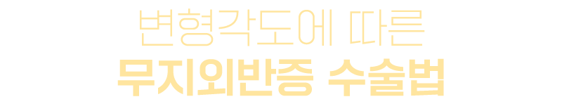 이미지명