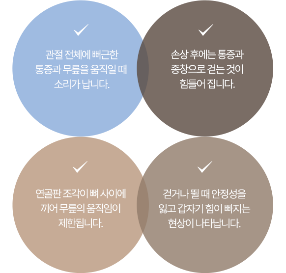 이미지명