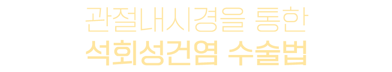이미지명