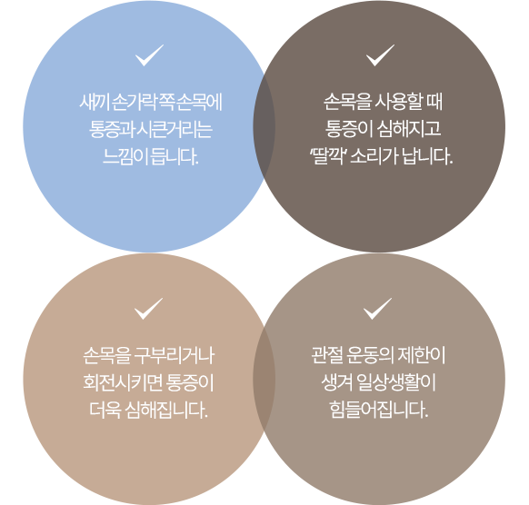 이미지명