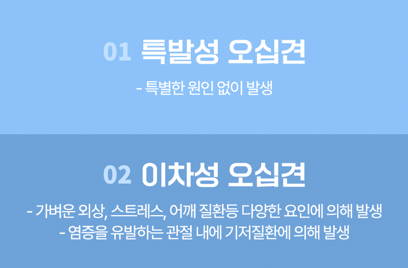 이미지명