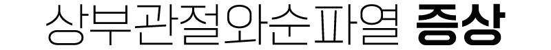 이미지명