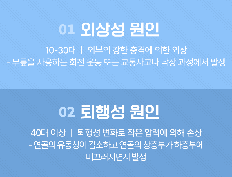 이미지명
